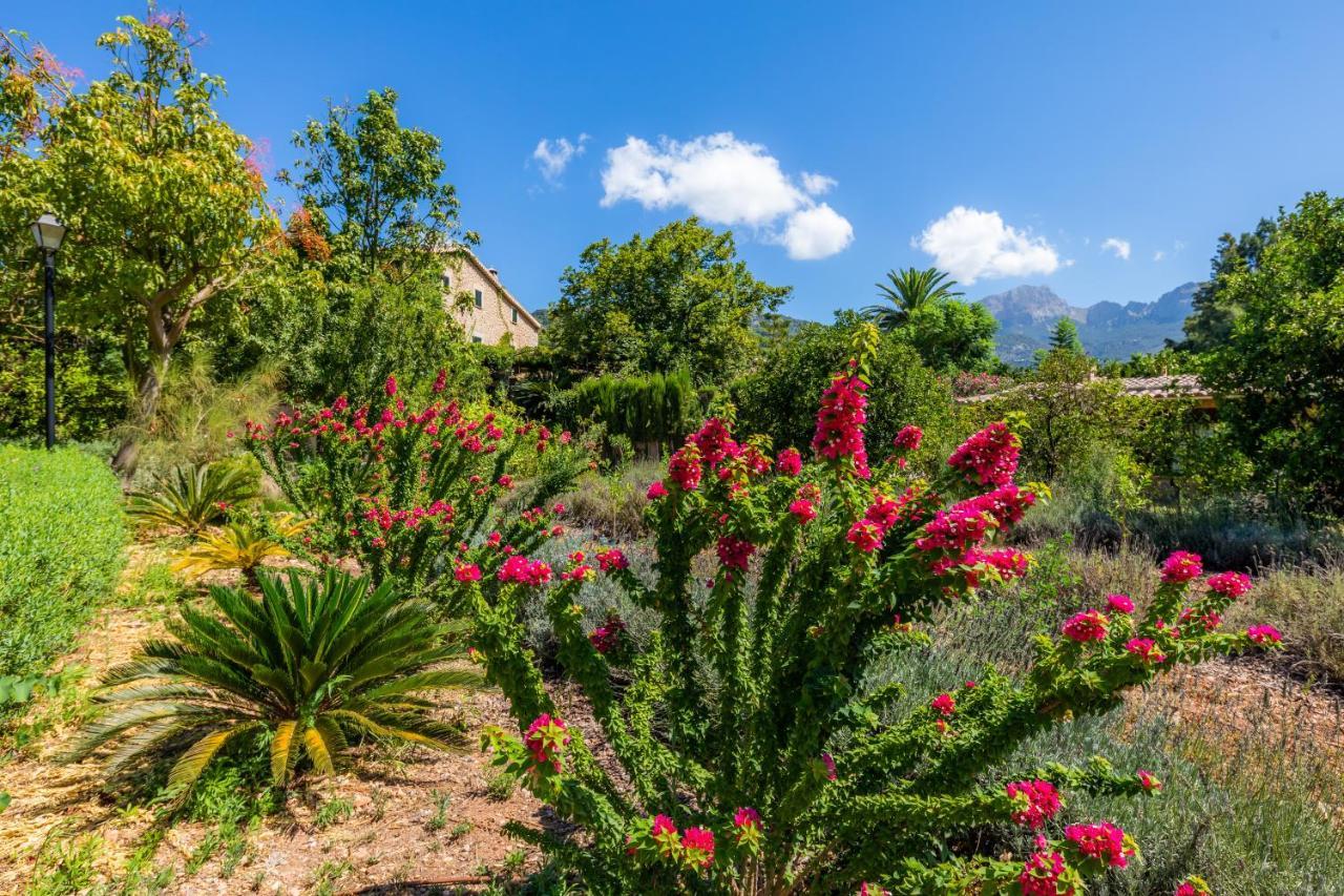 Finca Ca'S Curial - Agroturismo - Adults Only Sóller Exterior foto