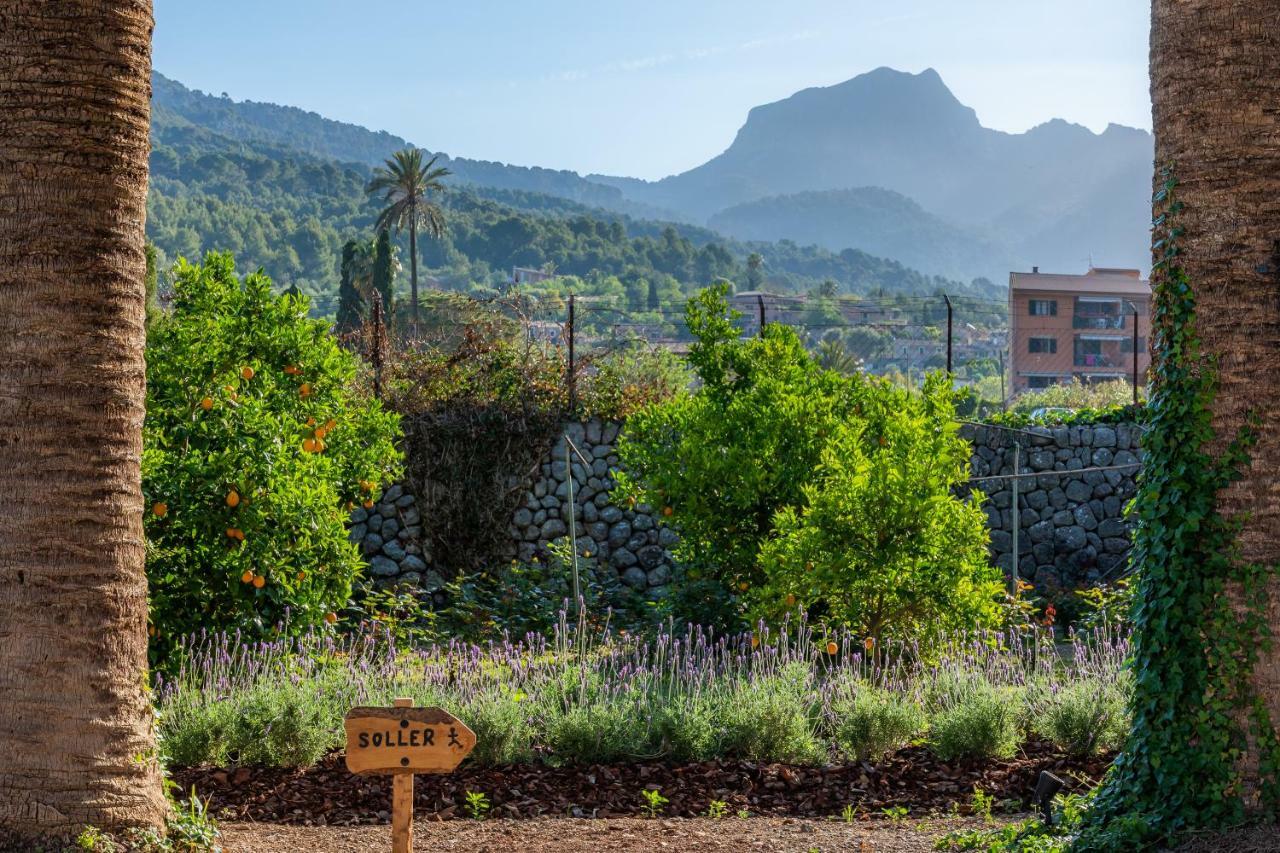 Finca Ca'S Curial - Agroturismo - Adults Only Sóller Exterior foto