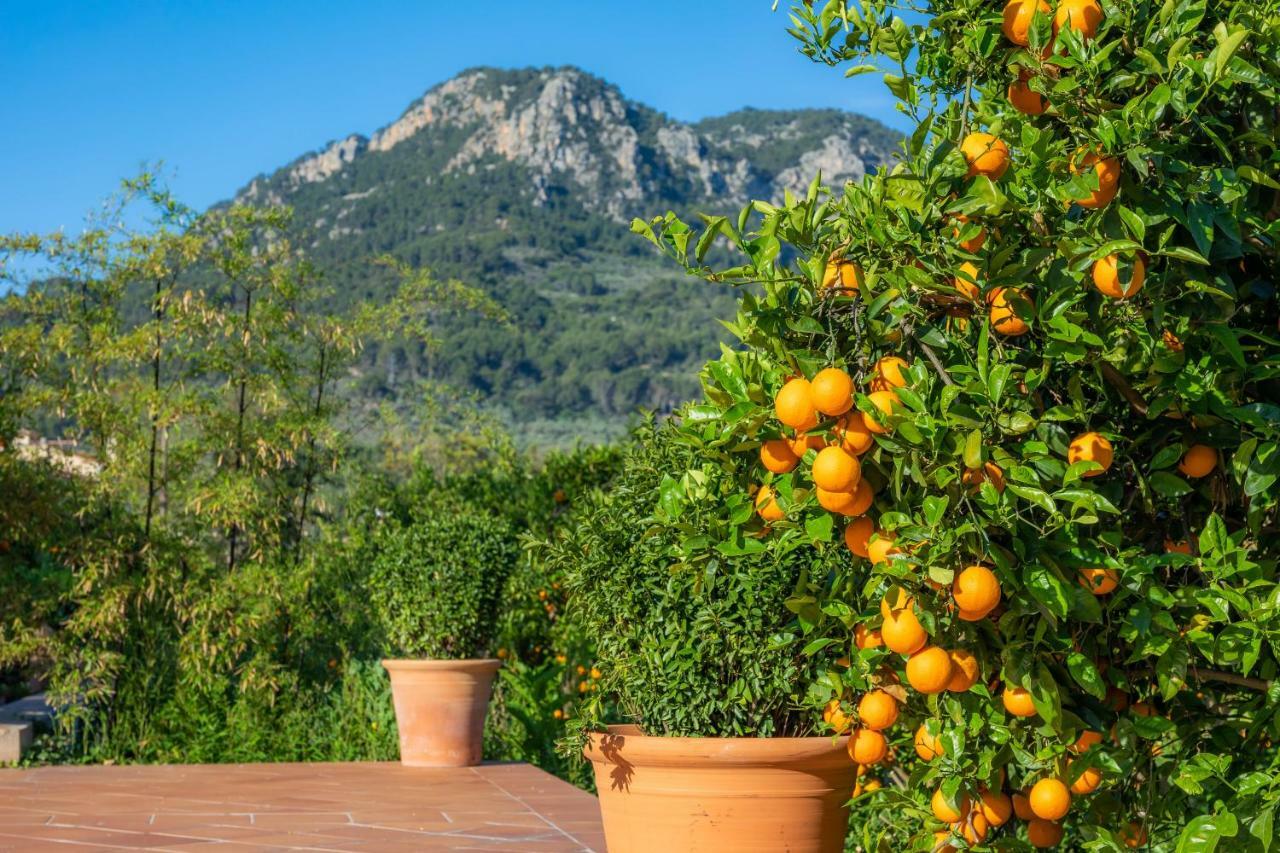 Finca Ca'S Curial - Agroturismo - Adults Only Sóller Exterior foto